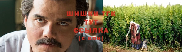 СК Богородицк