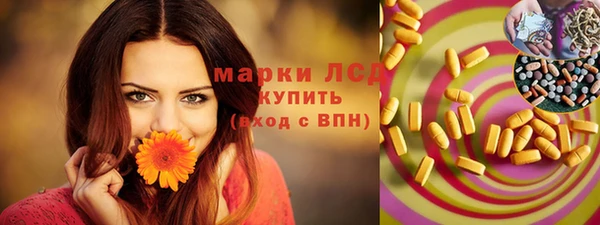 метадон Богданович