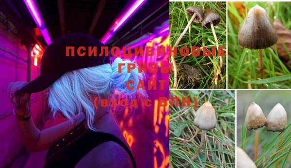 СК Богородицк
