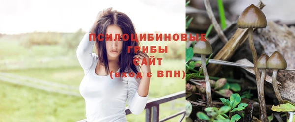 метадон Богданович