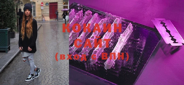 метадон Богданович