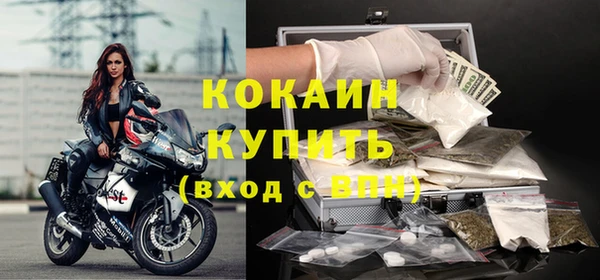 метадон Богданович