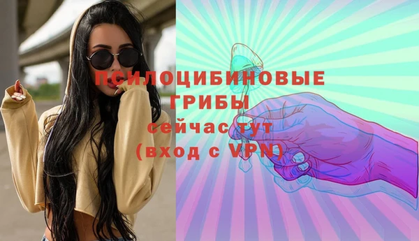 СК Богородицк