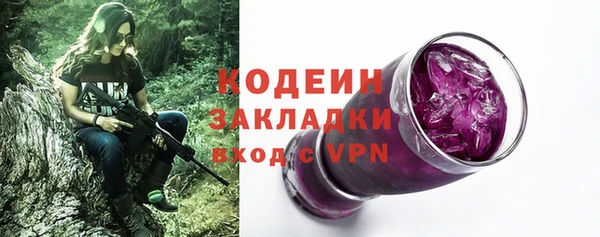 метадон Богданович
